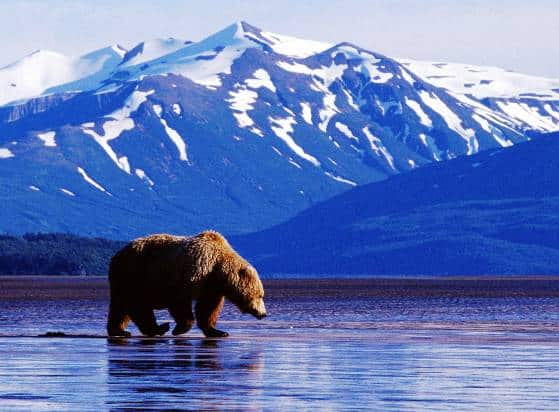 Explora Journeys porta EXPLORA III in Alaska: il grande Nord diventa ultra-luxury, tra ghiacciai, balene e wilderness