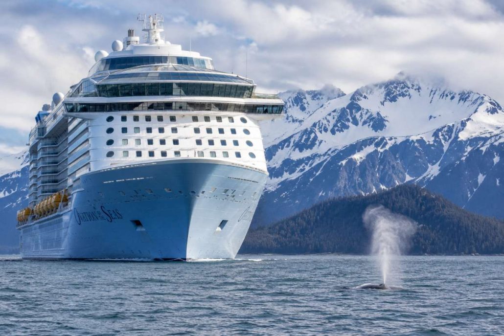 Balene e grandi navi, l’Alaska riapre il caso collisioni: su Ovation of the Seas trauma compatibile con un impatto